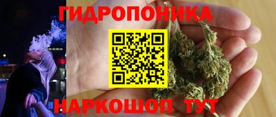 PSILOCYBIN Коломна