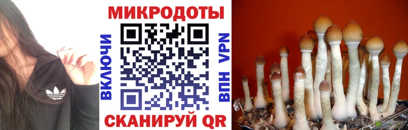 Псилоцибиновые грибы Magic Shrooms  ссылка на мегу ТОР  Нижневартовск  купить наркотик 